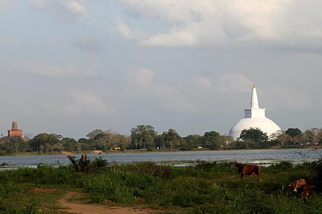 Hotel Flamingo Anuradhapura Exterior foto